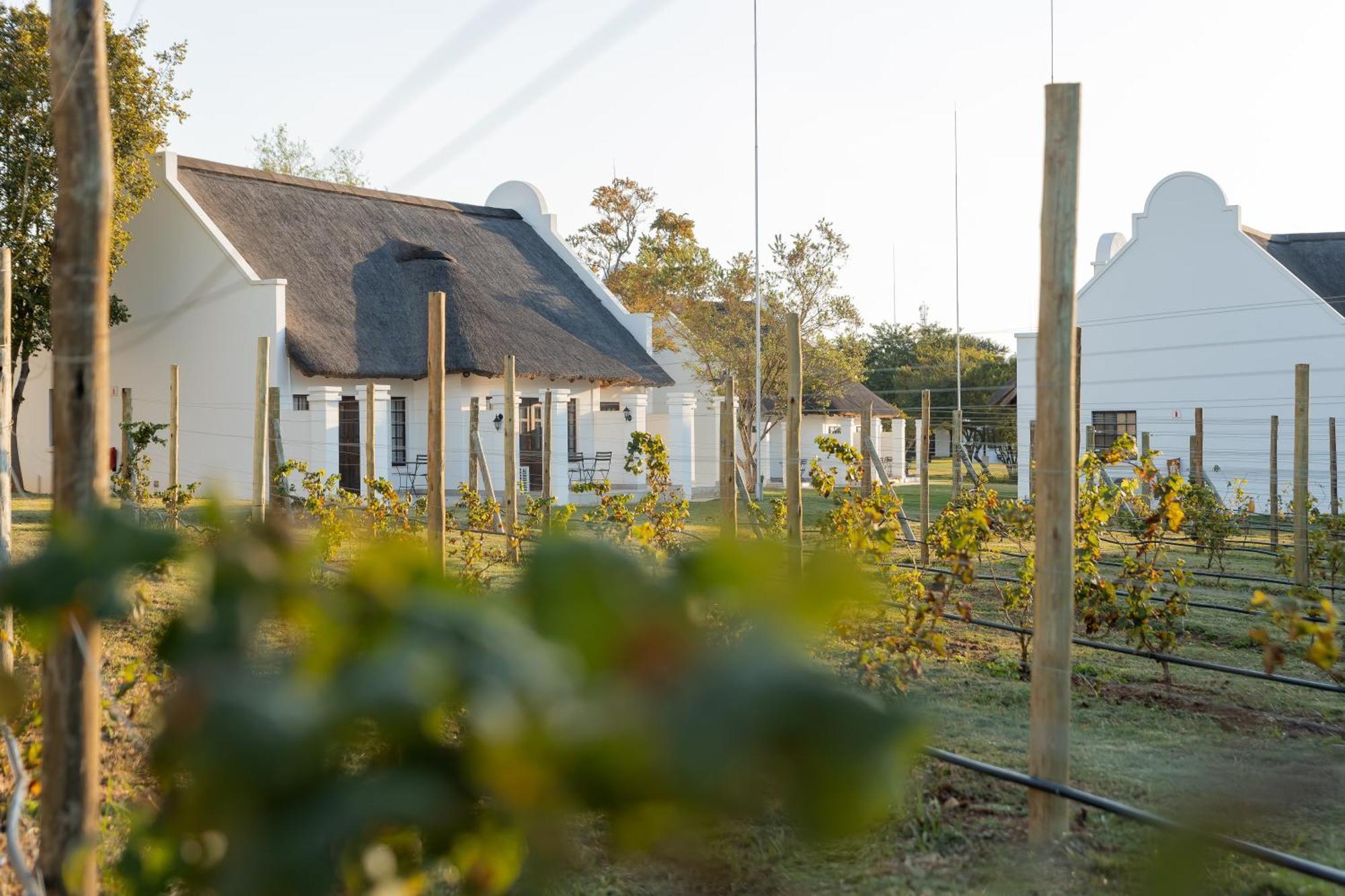 Kievits Kroon Gauteng Wine Estate Pretoria-Noord Extérieur photo